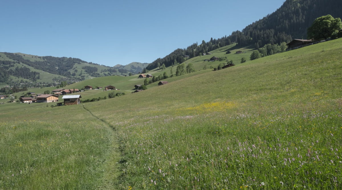 Wanderweg Panoramaweg ab Gstaad