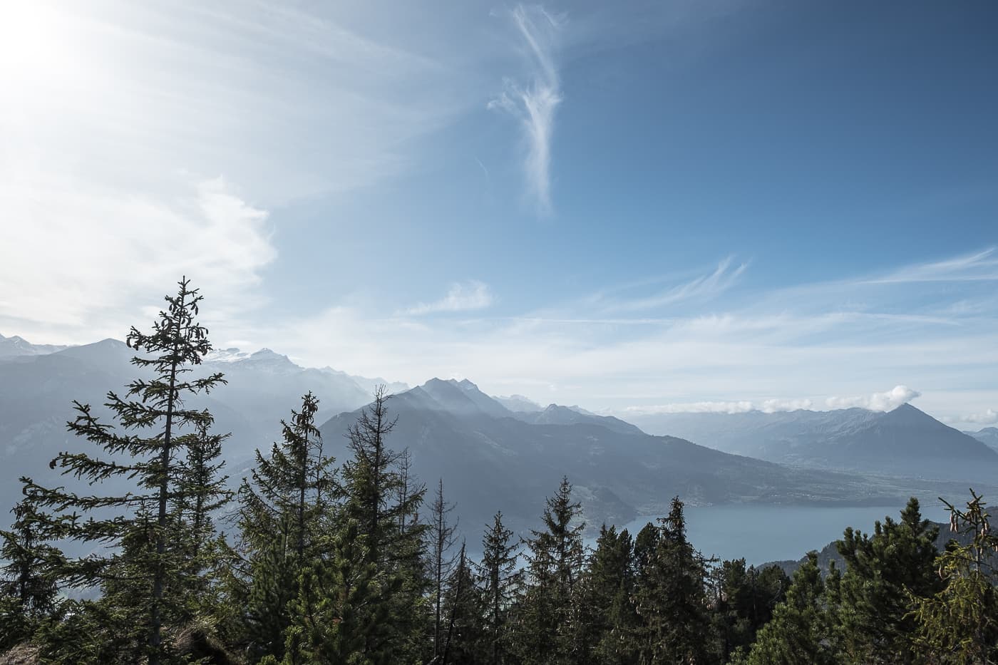 Wannichnubel Gipfel über der Baumgrenze