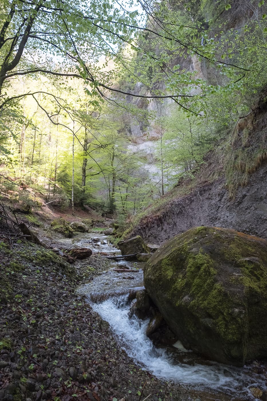 Wasser um Findling Bach im Wald