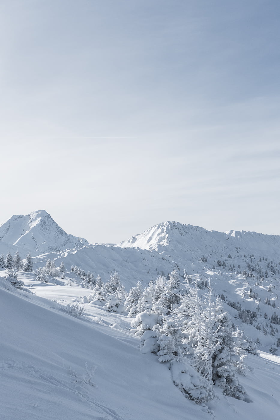 Weisse Winterwelt in Lenk Berner Oberland