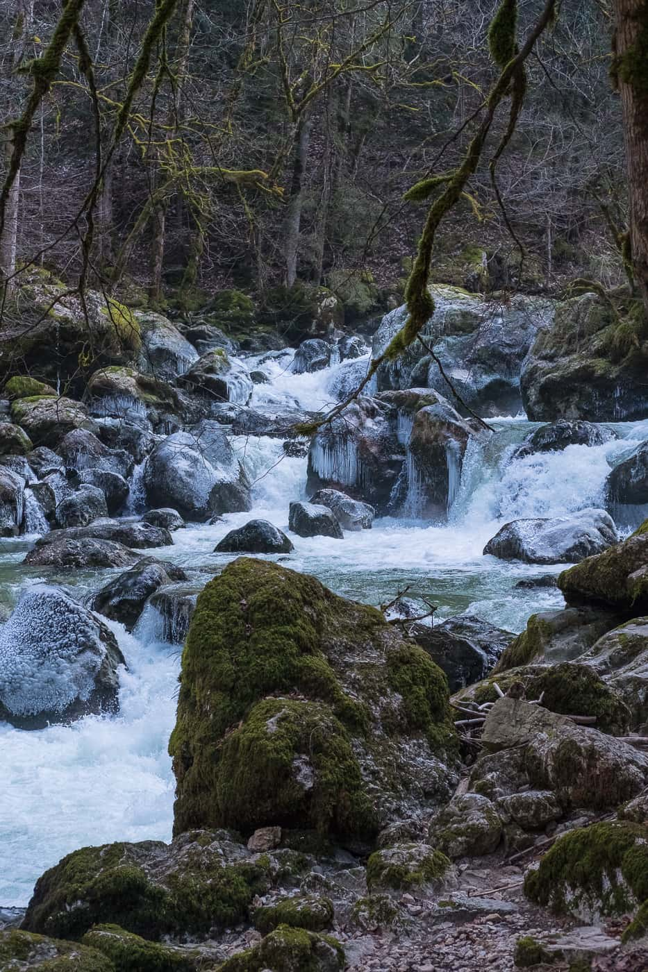 Wilde Areuse Schlucht