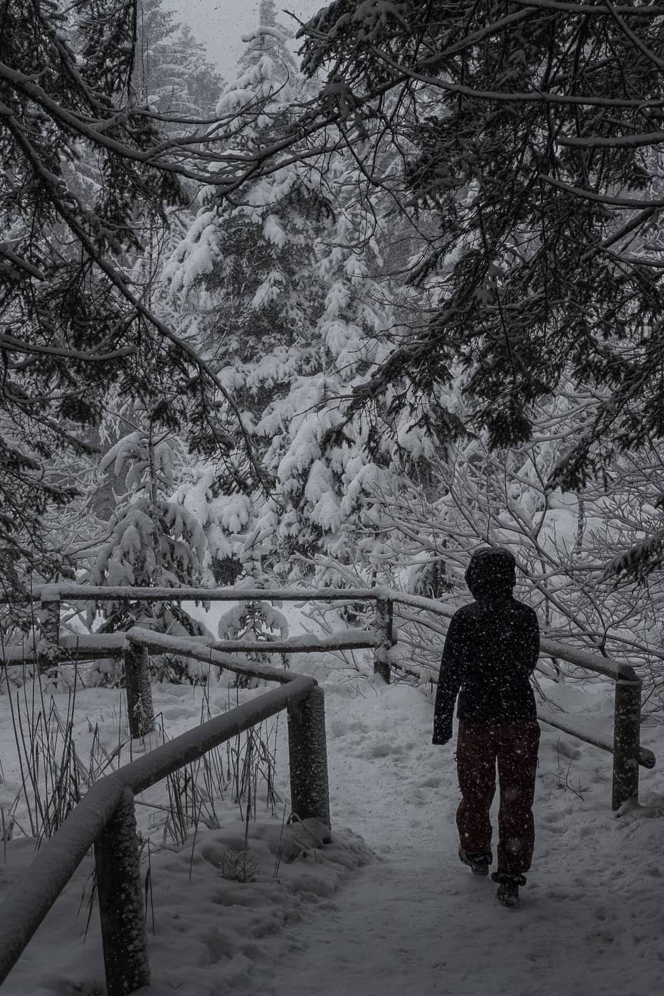 Winter Spaziergang am Etang Gruere