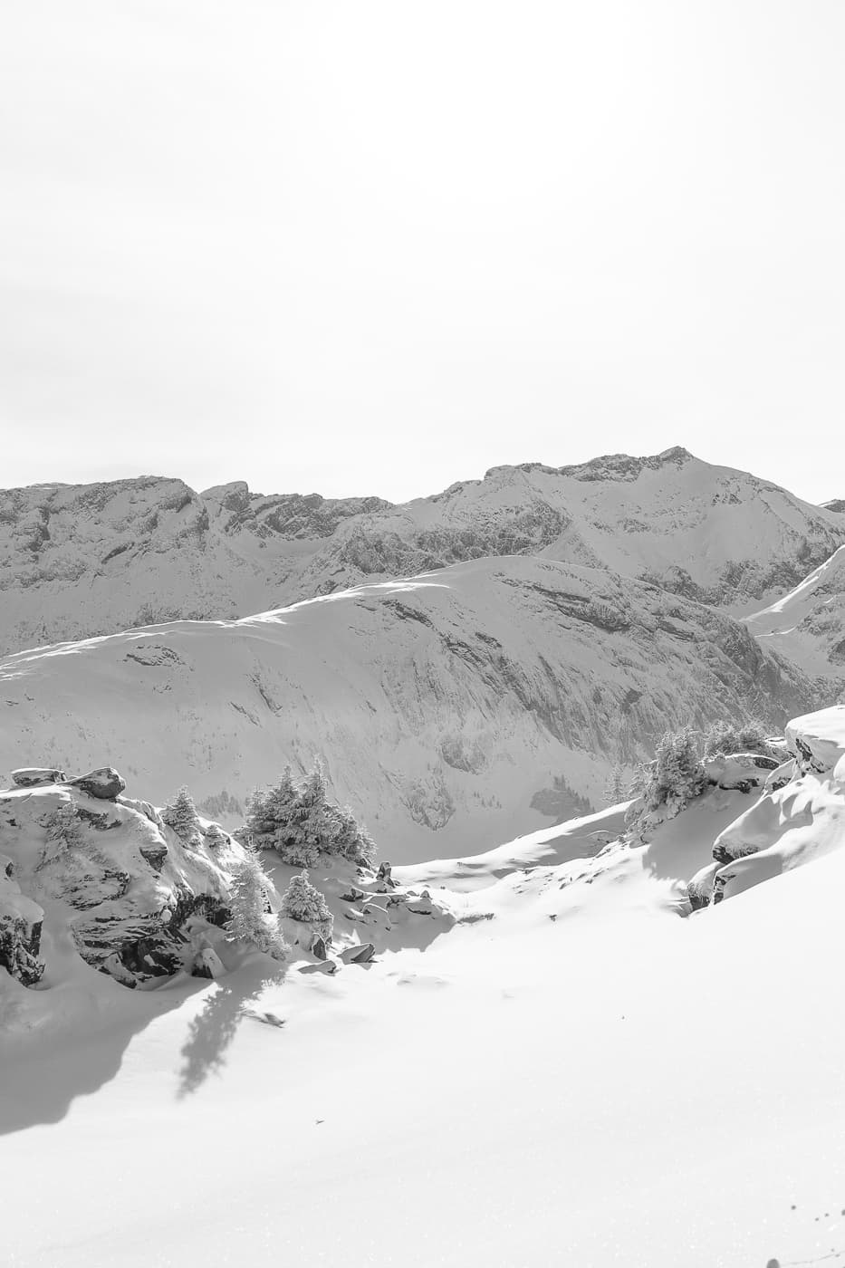 Winter Wonderland in Schwarzweiss