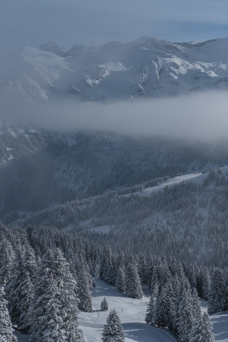 Winterausflug in Lenk Berner Oberland