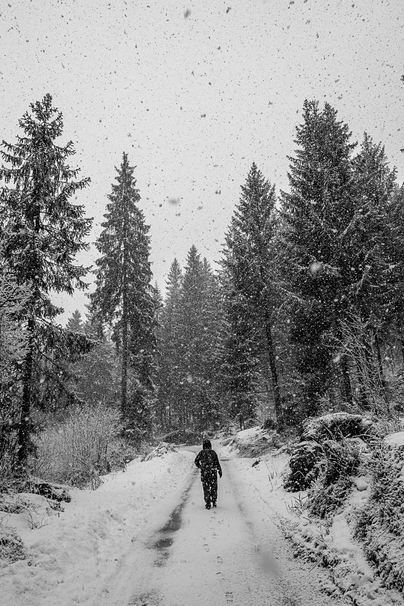winterwanderung-flimserwald-sw