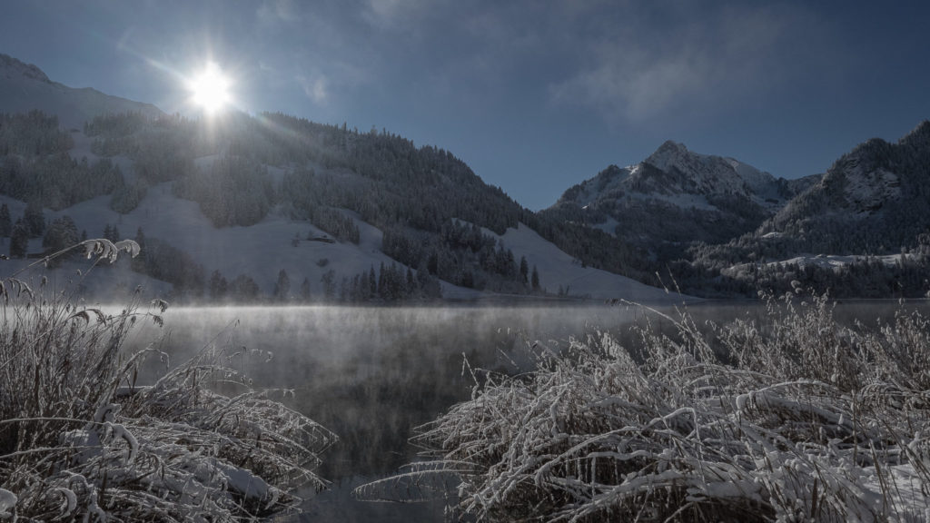 Winter am Schwarzsee