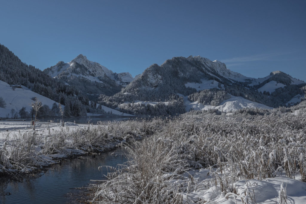 Lac Noir Fribourg